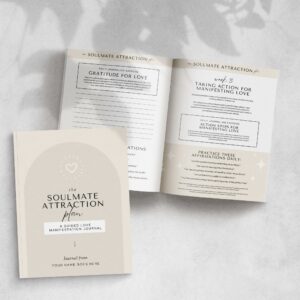 Soulmate Attraction Plan